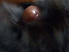Videos de porno gratis en español janet mason recibe una gran cantidad de esperma en la peluda coño después de