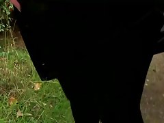 Ber videos porno gratis el de salida - y a ganar todo, y la belleza de mierda