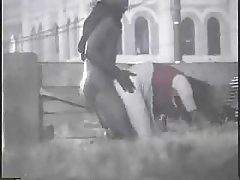 Ver peliculas porno gratis encanto muestra su redondo y posando
